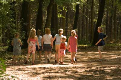 fm7_speurtocht_in_bos