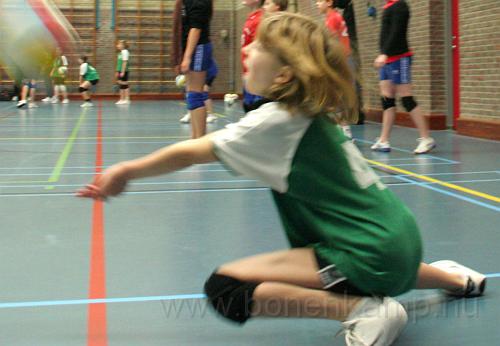 IMG_9868.jpg