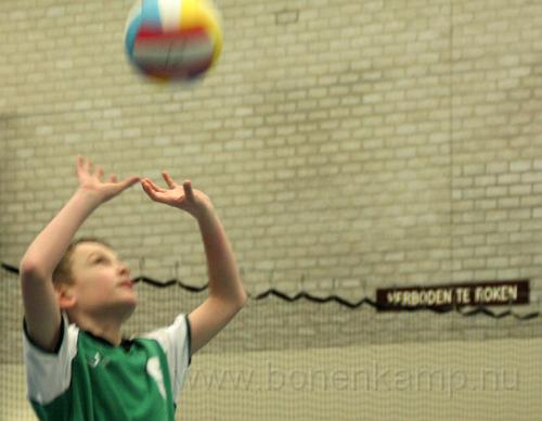 IMG_9878.jpg
